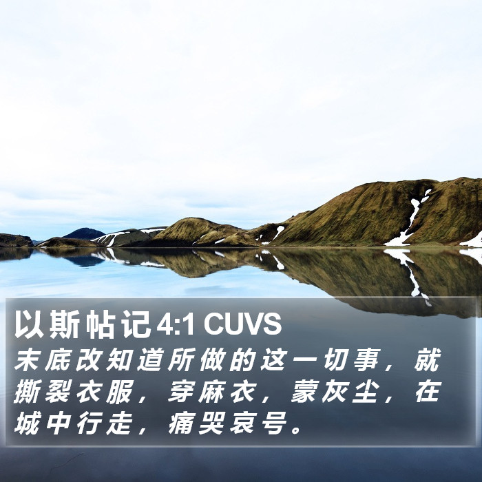 以 斯 帖 记 4:1 CUVS Bible Study