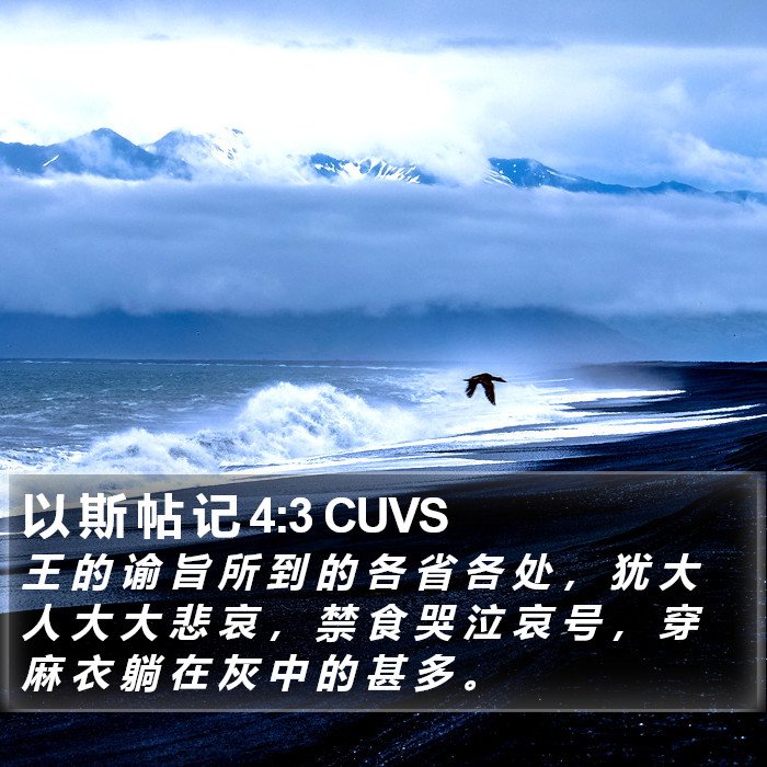 以 斯 帖 记 4:3 CUVS Bible Study