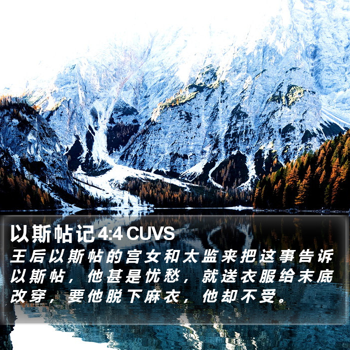 以 斯 帖 记 4:4 CUVS Bible Study