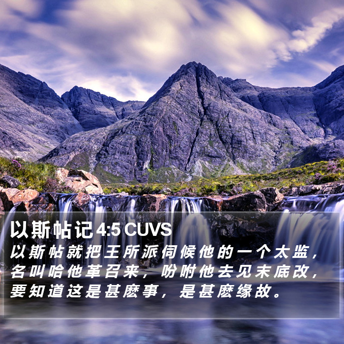 以 斯 帖 记 4:5 CUVS Bible Study