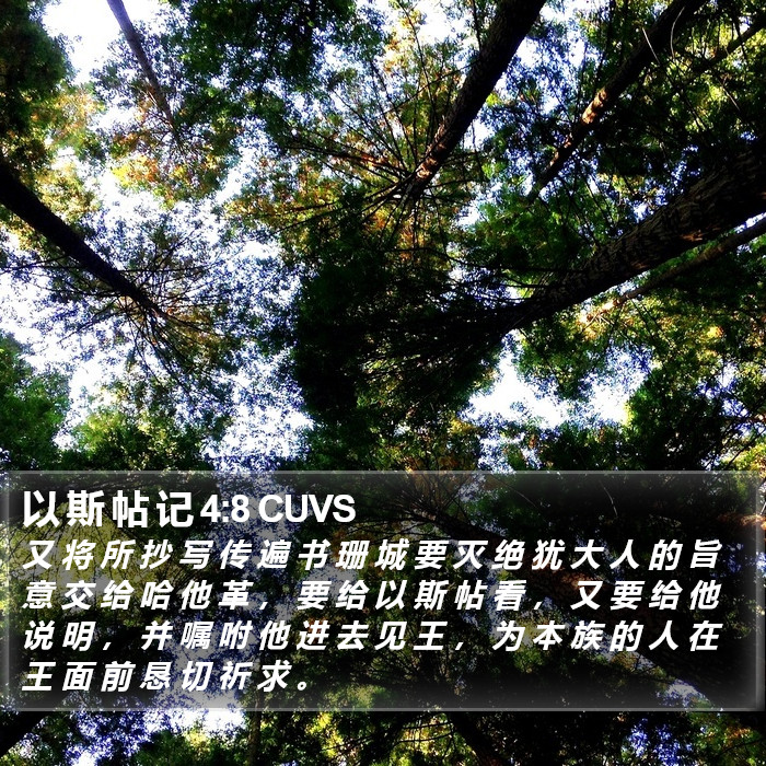 以 斯 帖 记 4:8 CUVS Bible Study