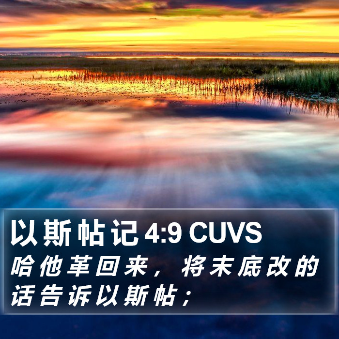 以 斯 帖 记 4:9 CUVS Bible Study