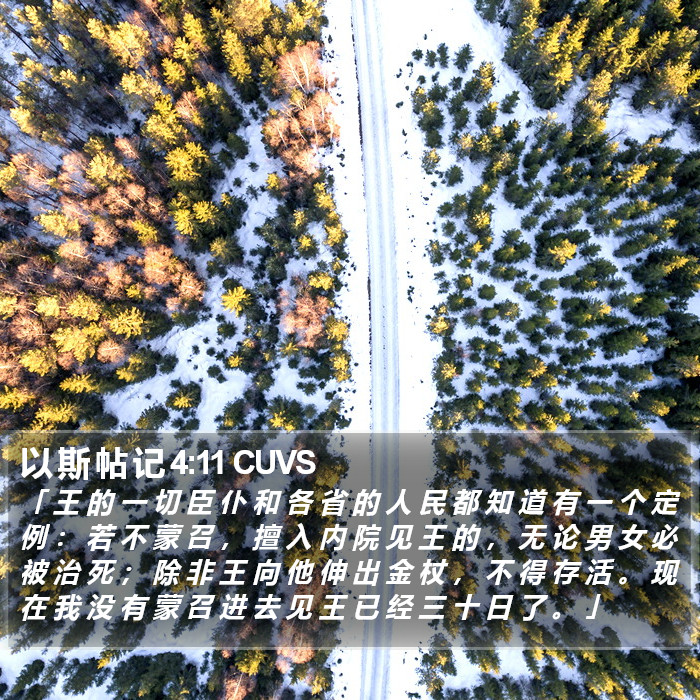 以 斯 帖 记 4:11 CUVS Bible Study