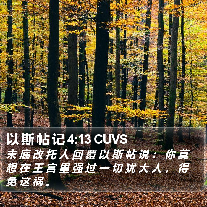 以 斯 帖 记 4:13 CUVS Bible Study