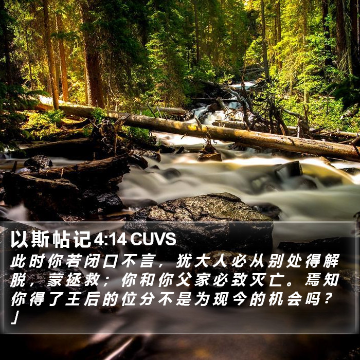 以 斯 帖 记 4:14 CUVS Bible Study