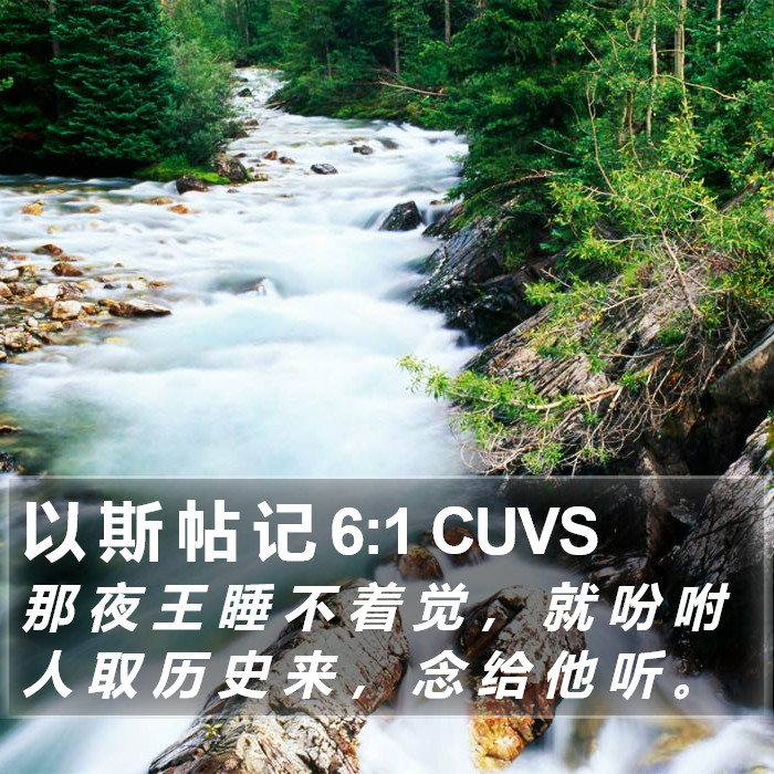 以 斯 帖 记 6:1 CUVS Bible Study