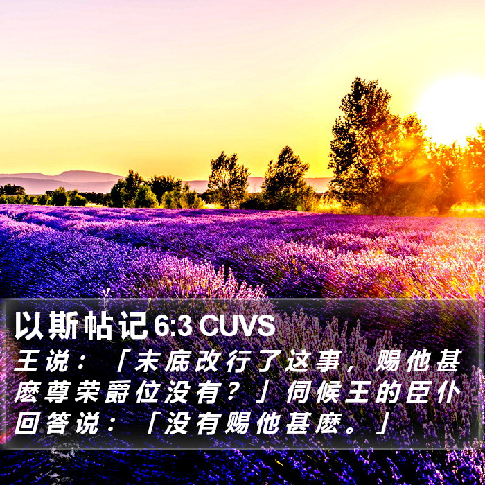 以 斯 帖 记 6:3 CUVS Bible Study