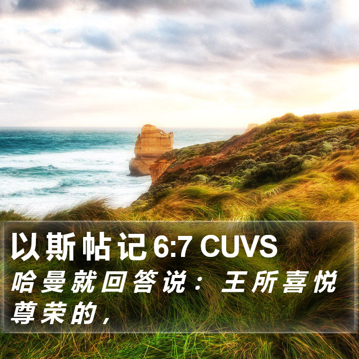 以 斯 帖 记 6:7 CUVS Bible Study