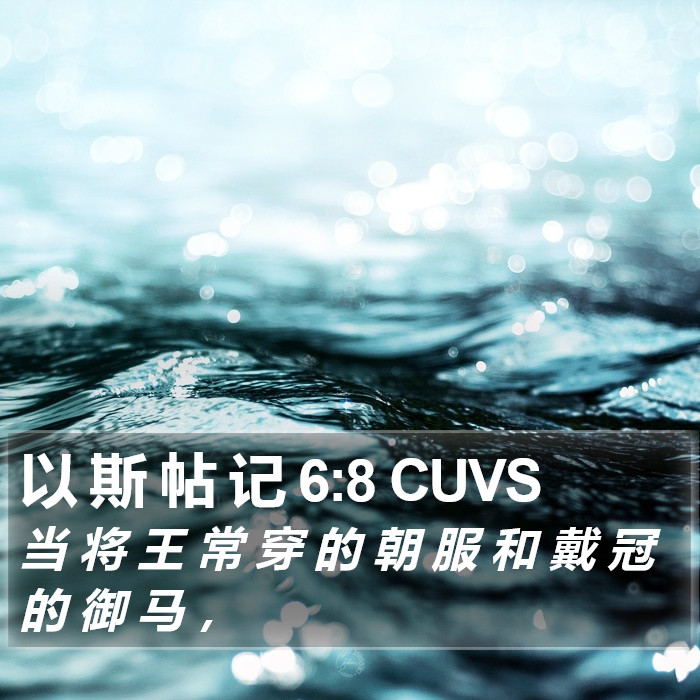 以 斯 帖 记 6:8 CUVS Bible Study