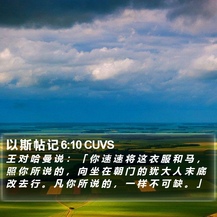 以 斯 帖 记 6:10 CUVS Bible Study