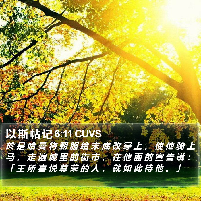 以 斯 帖 记 6:11 CUVS Bible Study