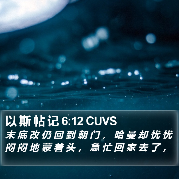 以 斯 帖 记 6:12 CUVS Bible Study