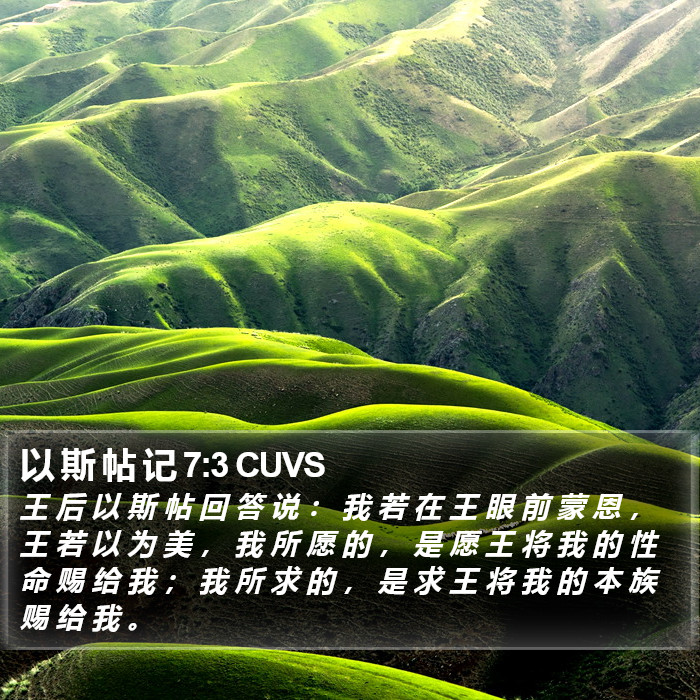 以 斯 帖 记 7:3 CUVS Bible Study