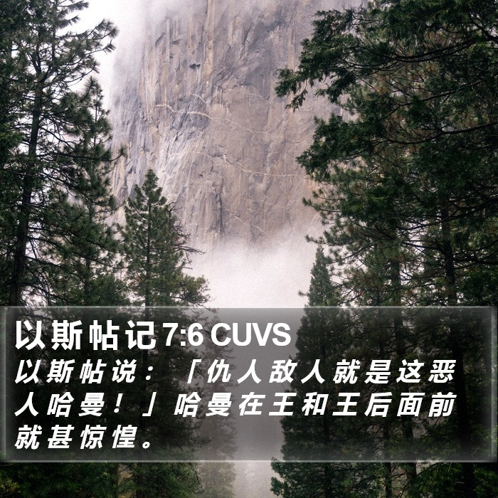 以 斯 帖 记 7:6 CUVS Bible Study