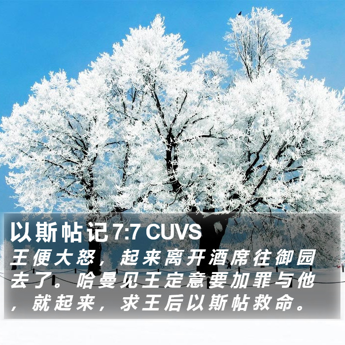 以 斯 帖 记 7:7 CUVS Bible Study