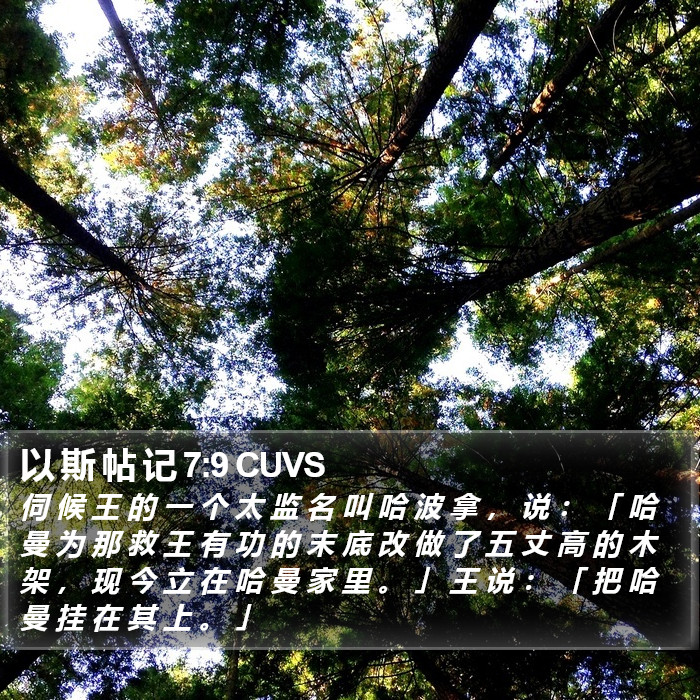 以 斯 帖 记 7:9 CUVS Bible Study