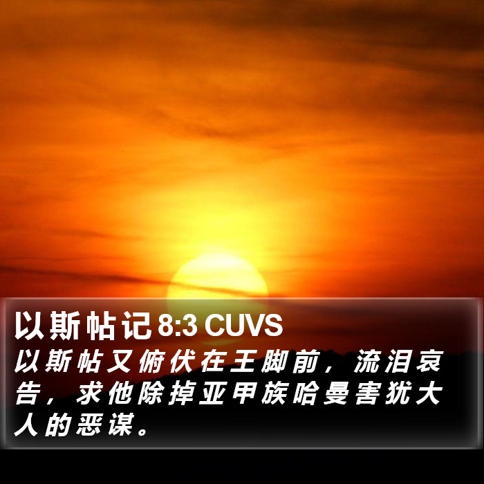 以 斯 帖 记 8:3 CUVS Bible Study