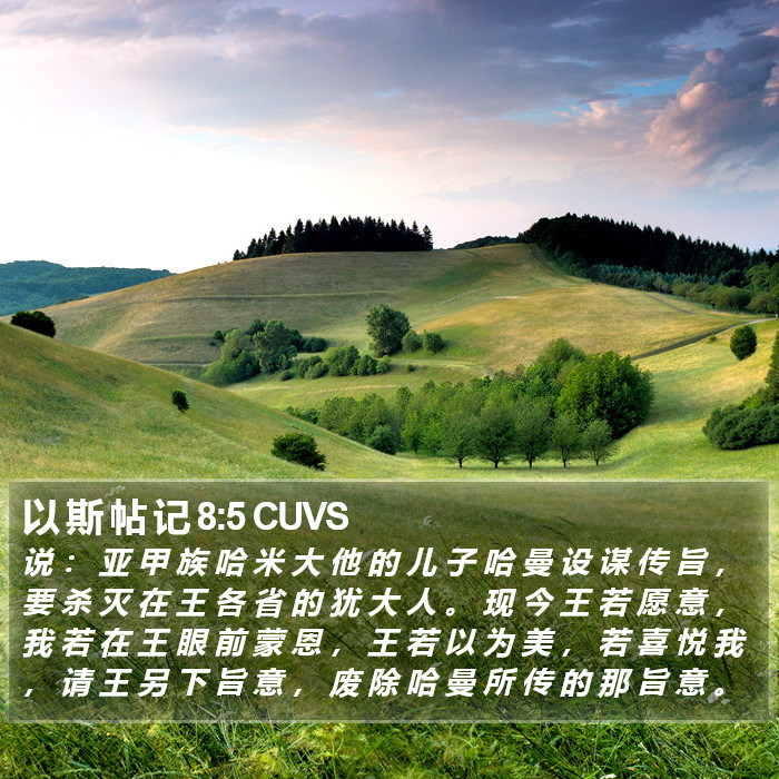 以 斯 帖 记 8:5 CUVS Bible Study