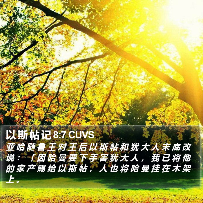 以 斯 帖 记 8:7 CUVS Bible Study