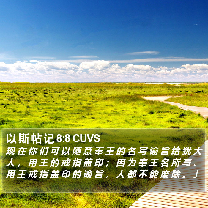 以 斯 帖 记 8:8 CUVS Bible Study
