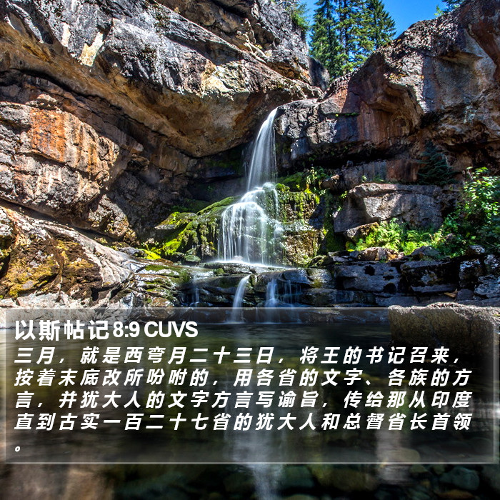 以 斯 帖 记 8:9 CUVS Bible Study