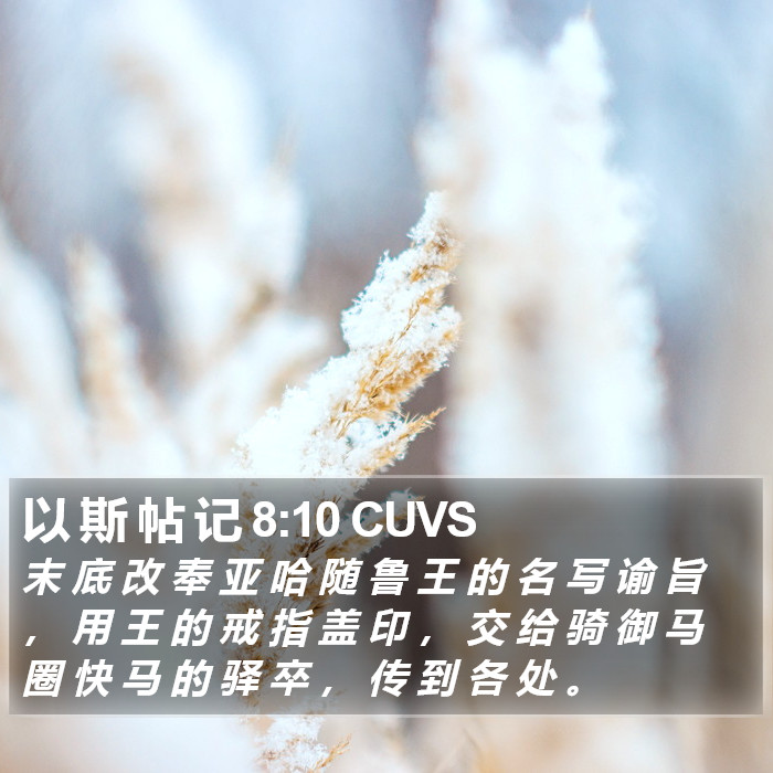 以 斯 帖 记 8:10 CUVS Bible Study