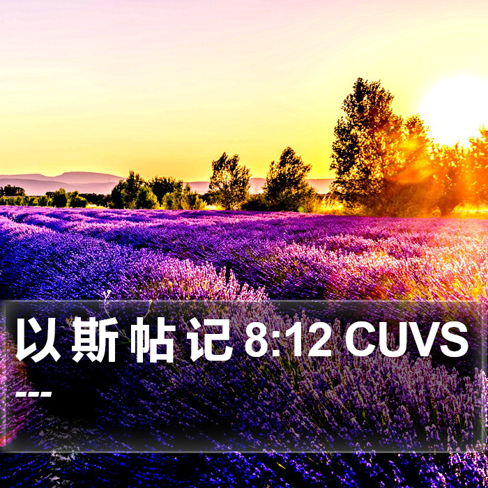 以 斯 帖 记 8:12 CUVS Bible Study