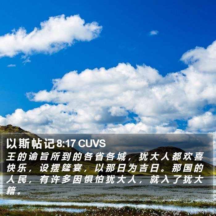 以 斯 帖 记 8:17 CUVS Bible Study