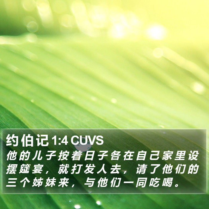 约 伯 记 1:4 CUVS Bible Study