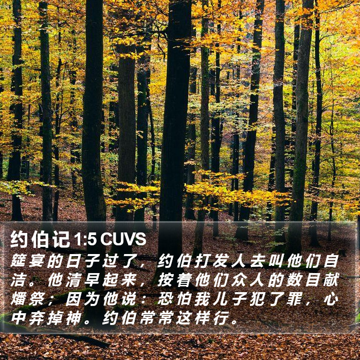 约 伯 记 1:5 CUVS Bible Study