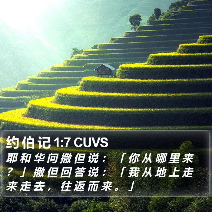 约 伯 记 1:7 CUVS Bible Study