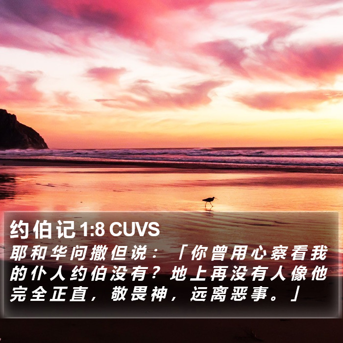 约 伯 记 1:8 CUVS Bible Study