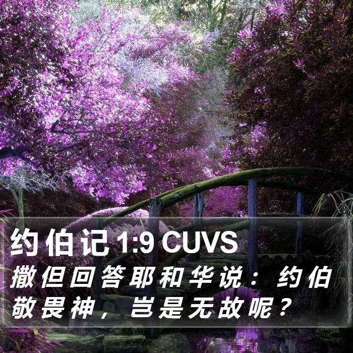 约 伯 记 1:9 CUVS Bible Study