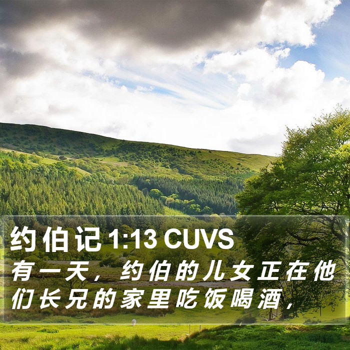 约 伯 记 1:13 CUVS Bible Study