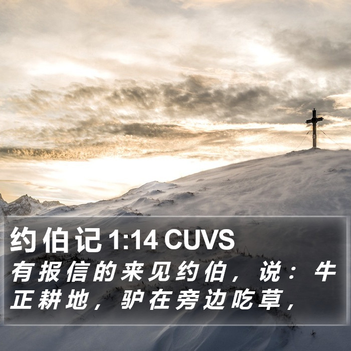 约 伯 记 1:14 CUVS Bible Study