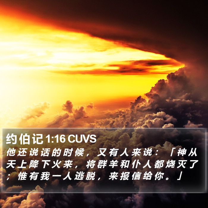 约 伯 记 1:16 CUVS Bible Study