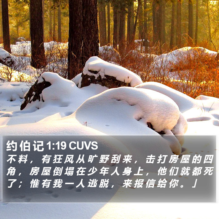 约 伯 记 1:19 CUVS Bible Study