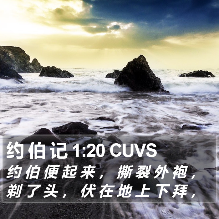 约 伯 记 1:20 CUVS Bible Study