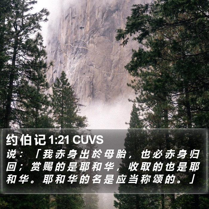 约 伯 记 1:21 CUVS Bible Study