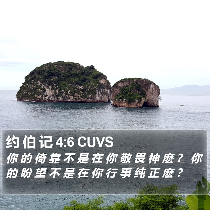 约 伯 记 4:6 CUVS Bible Study