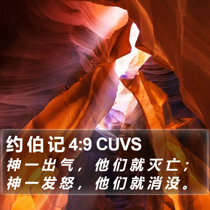 约 伯 记 4:9 CUVS Bible Study