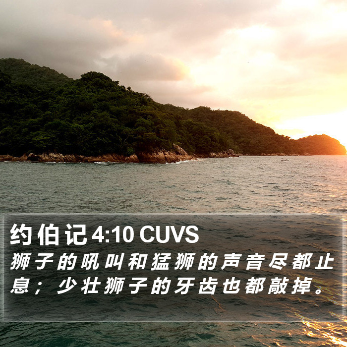 约 伯 记 4:10 CUVS Bible Study