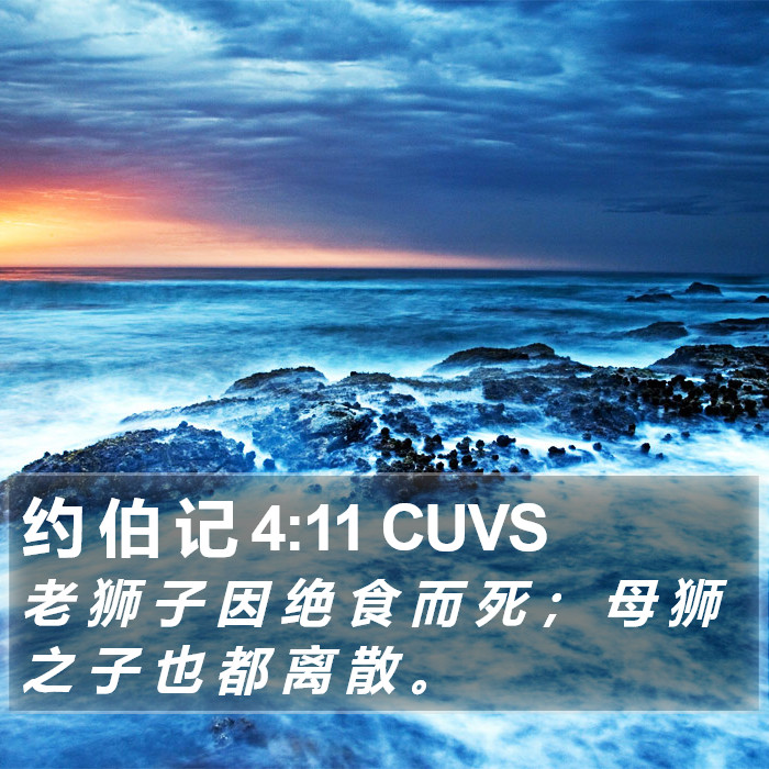 约 伯 记 4:11 CUVS Bible Study