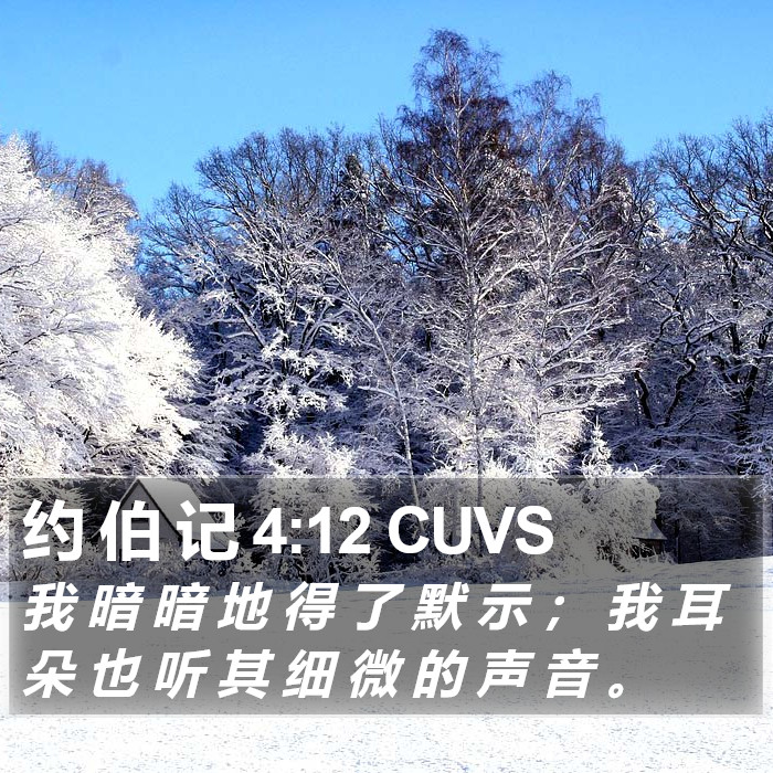 约 伯 记 4:12 CUVS Bible Study