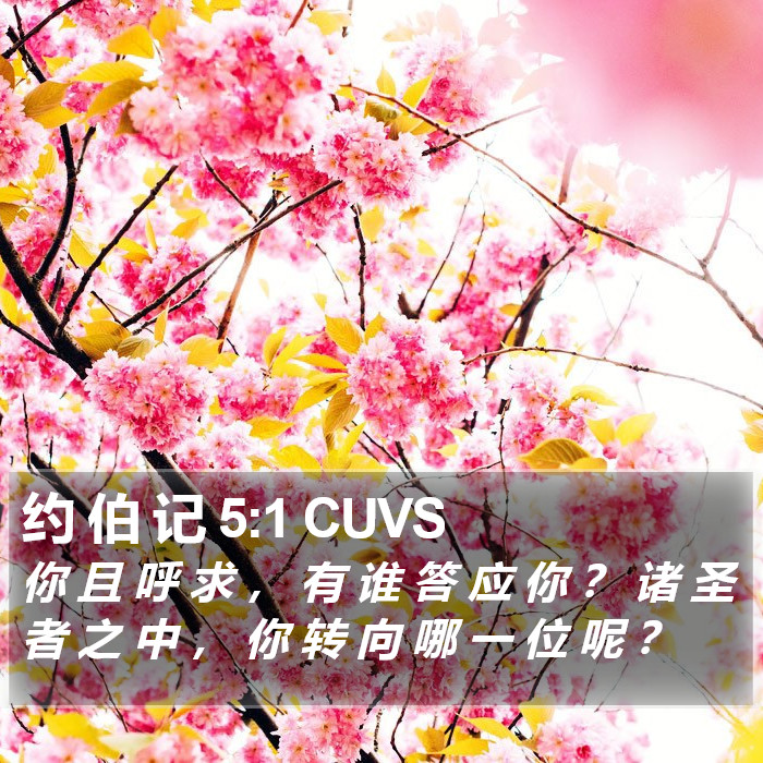 约 伯 记 5:1 CUVS Bible Study