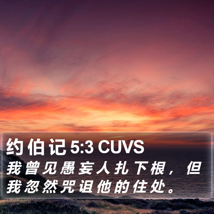 约 伯 记 5:3 CUVS Bible Study