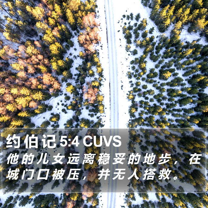 约 伯 记 5:4 CUVS Bible Study