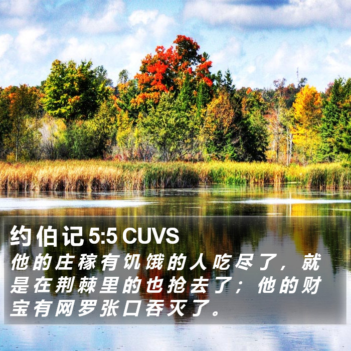 约 伯 记 5:5 CUVS Bible Study