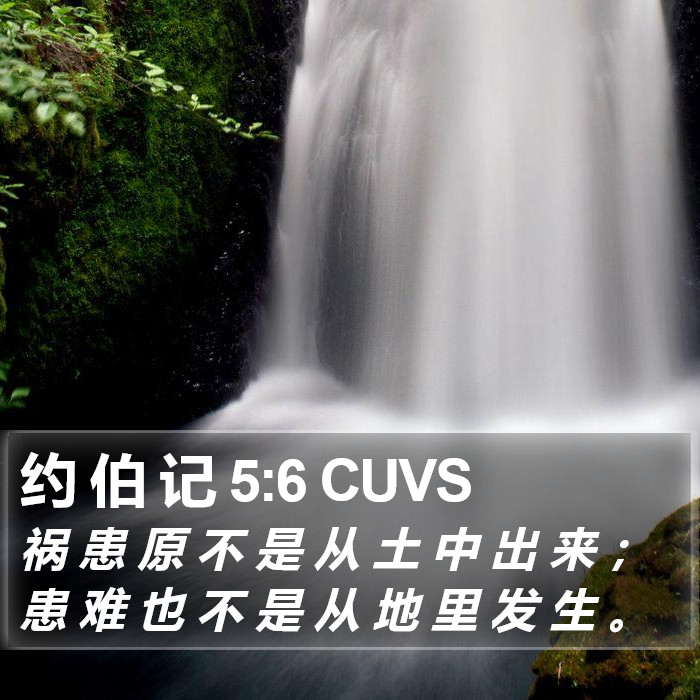 约 伯 记 5:6 CUVS Bible Study