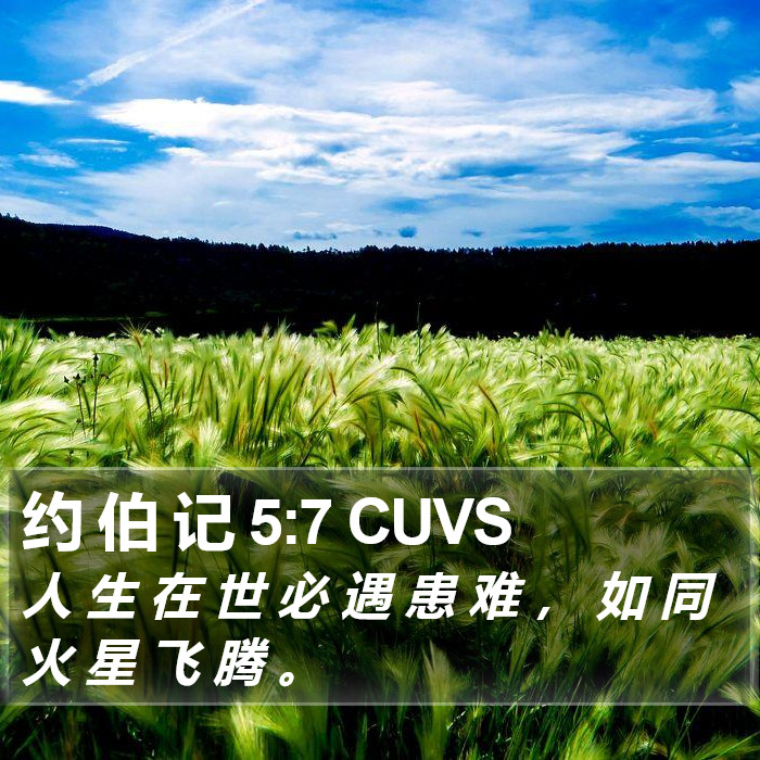 约 伯 记 5:7 CUVS Bible Study